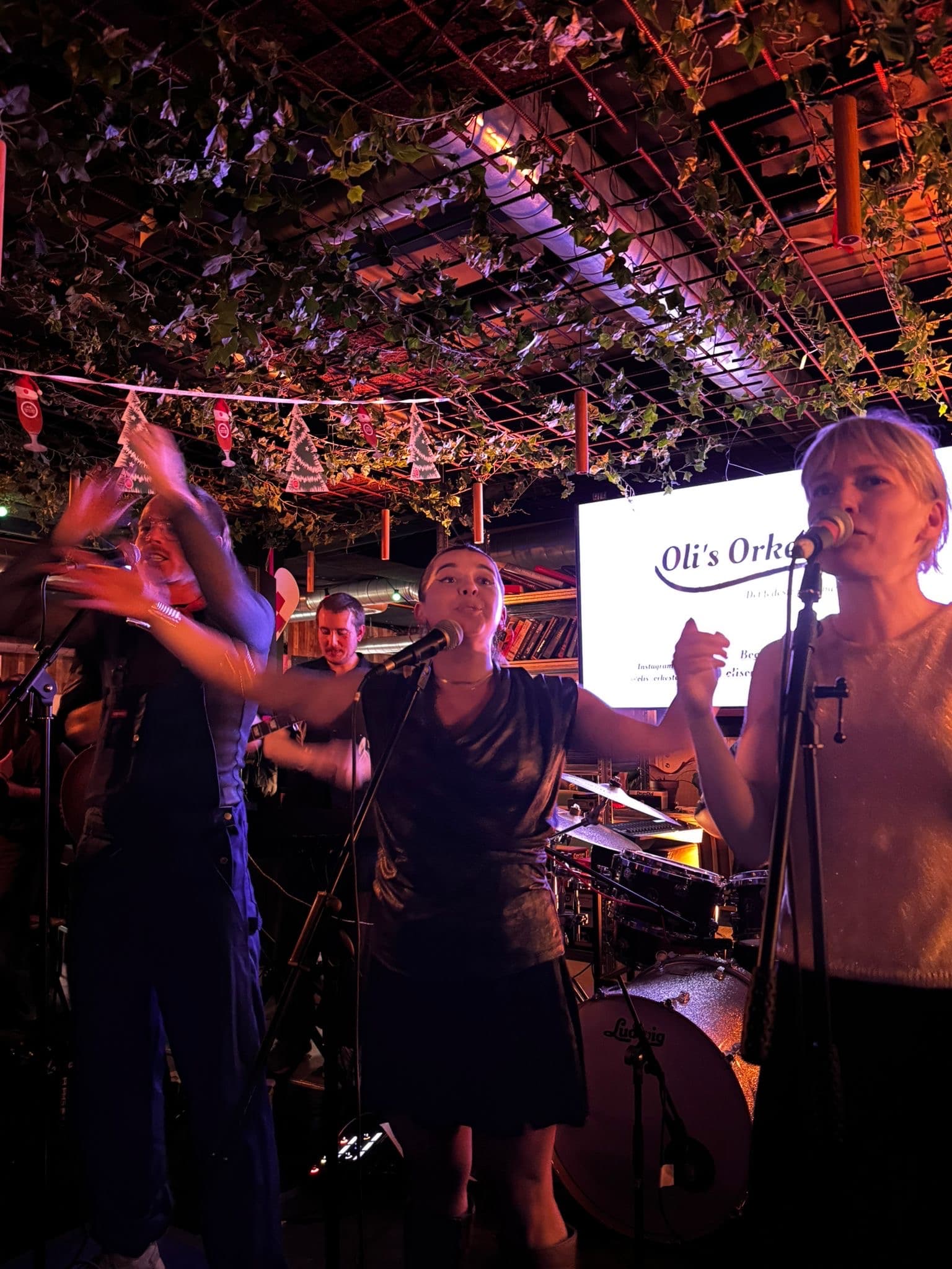 Oli's Orkester party band spiller live til fest (7)